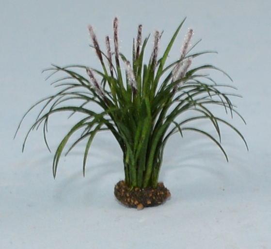 Fountain Grass Quarter-inch scale - Click Image to Close